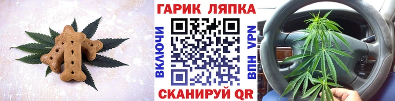Купить закладки  Сенгилей  Печенье с ТГК марихуана 