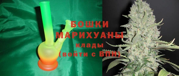 сатива Нягань